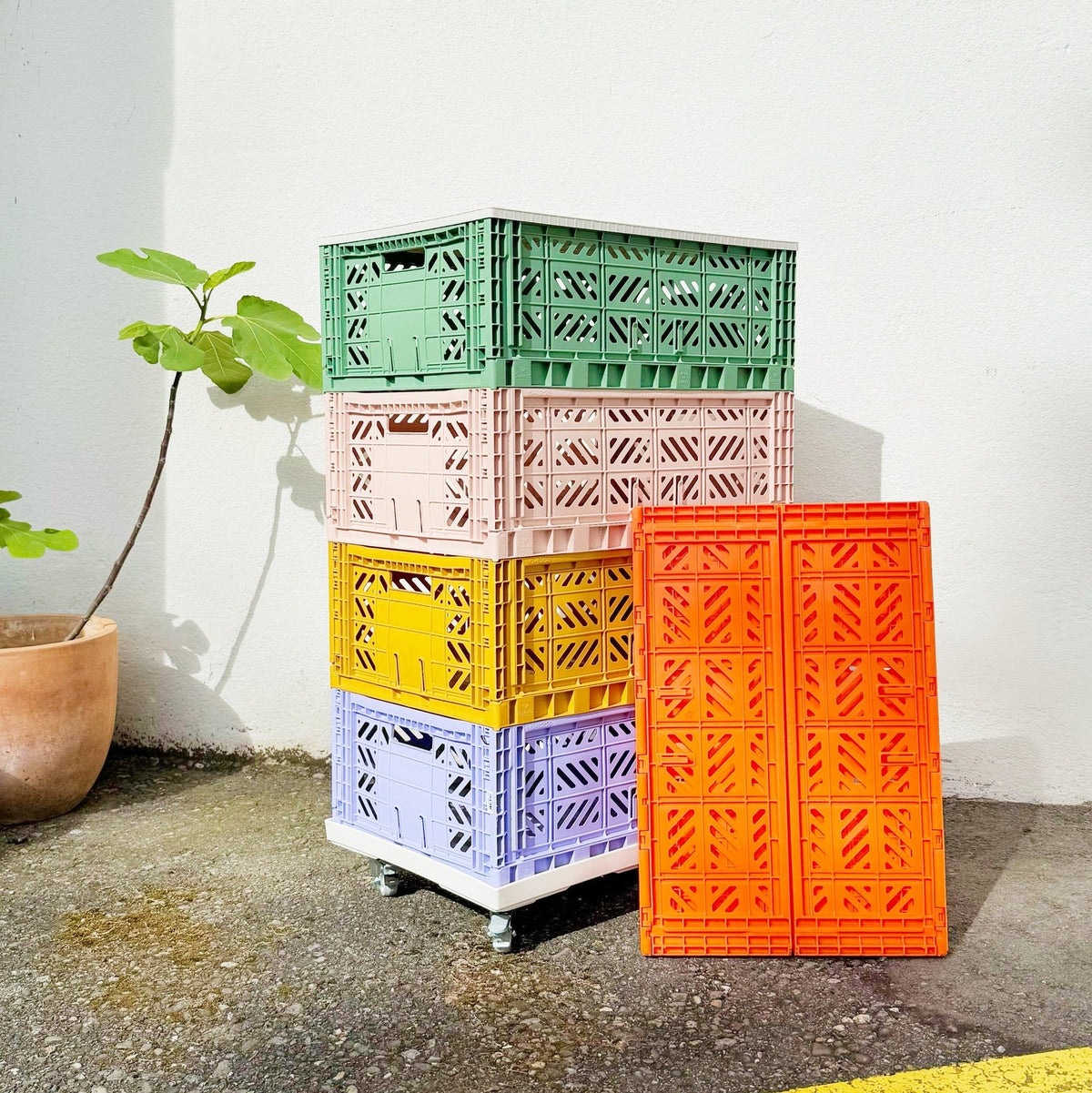 Aykasa Foldable Crate Maxi – 60×40×22 cm – Craftinglove