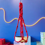 Finished chunky macrame plant hanger styled indoors