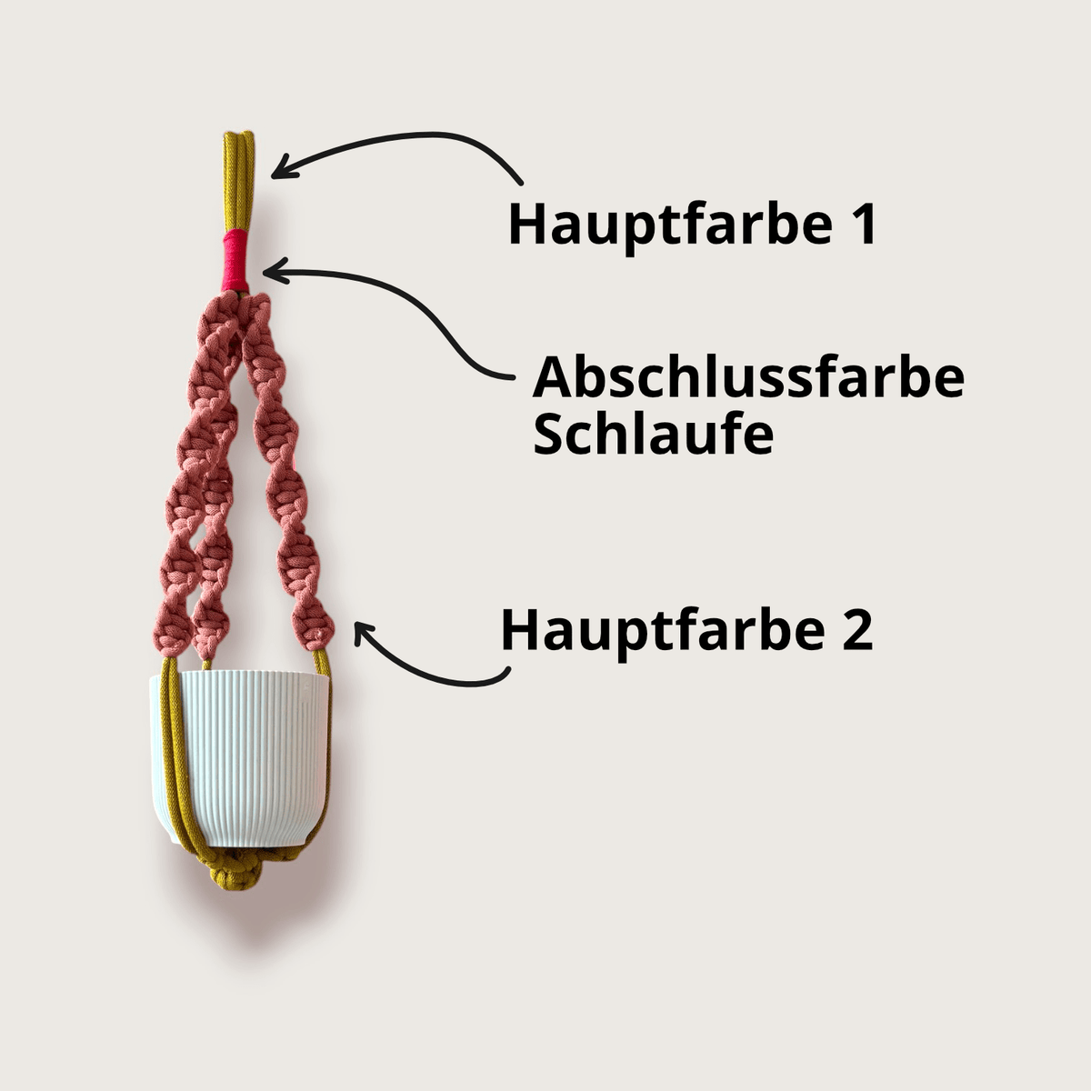 Colourbomb plant hanger colour distribution chart