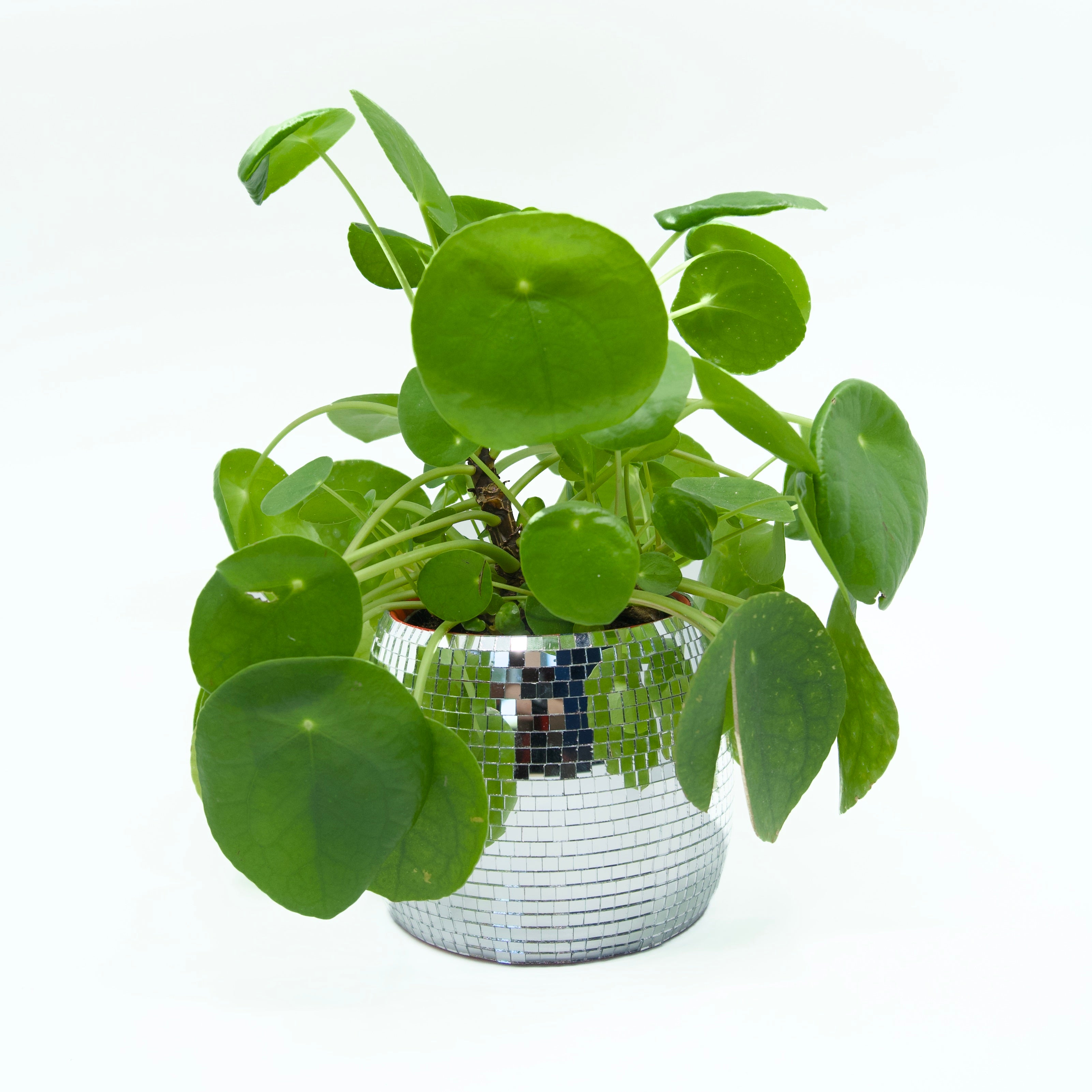 Mirrorball Flowerpot - DIY Set - Craftinglove