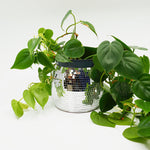 Mirrorball Flowerpot - DIY Set - Craftinglove