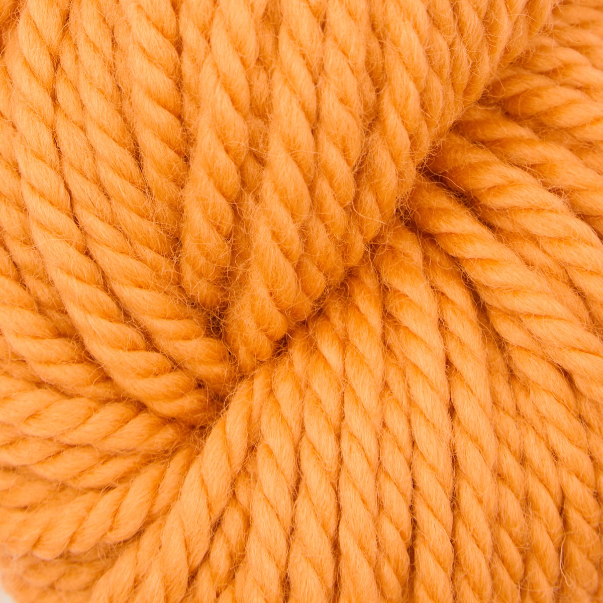 Violet Jane rug punch needle yarn, 110g skein in Jackie O Lantern