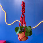 Chunky macrame plant hanger full length view