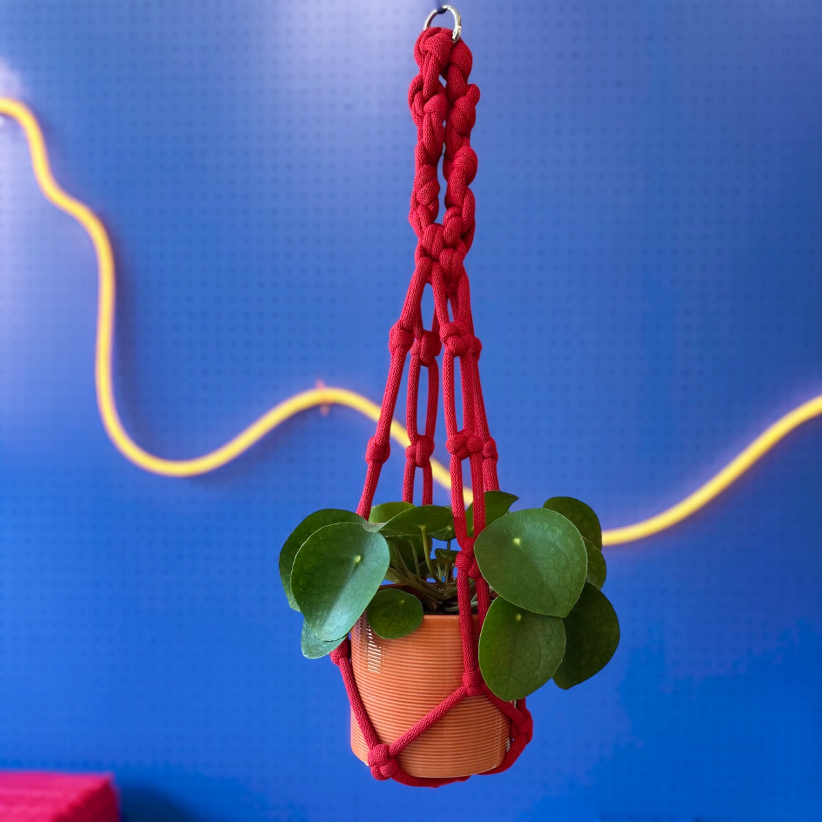 Chunky macrame plant hanger full length view